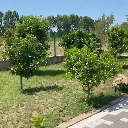 Privatunterkunft 6c Sunny Nest *